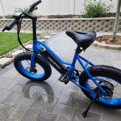 Electric Bike Pedego