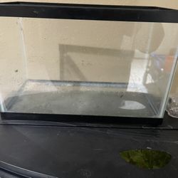 5 Gallon Tank