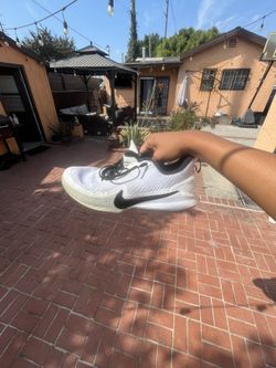 Kobe Mamba Focus