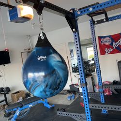Aqua Punching Bag 