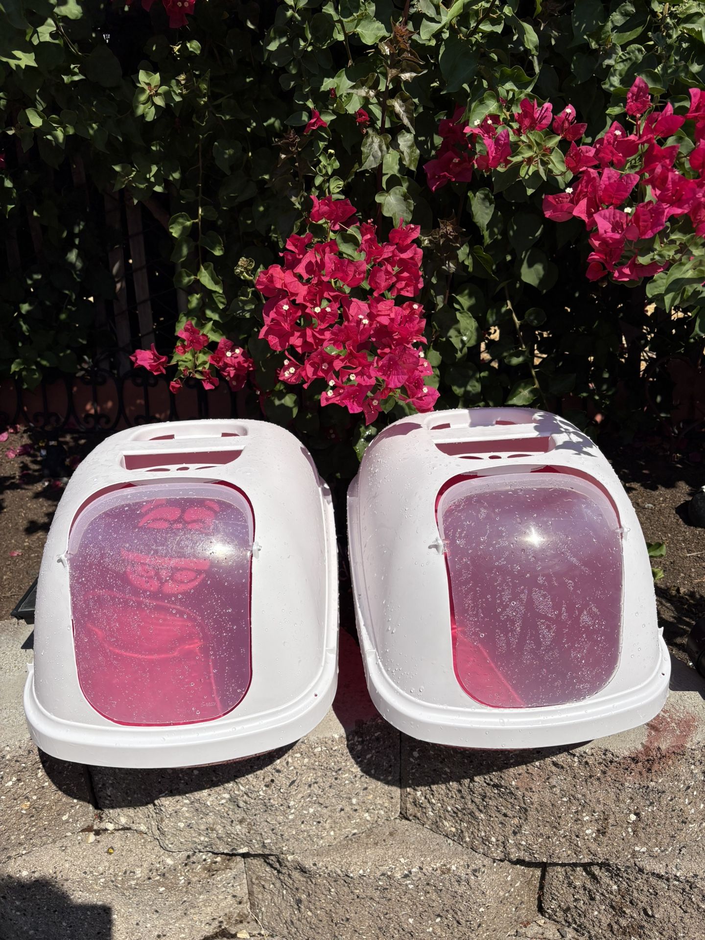 Cat Litter Boxes