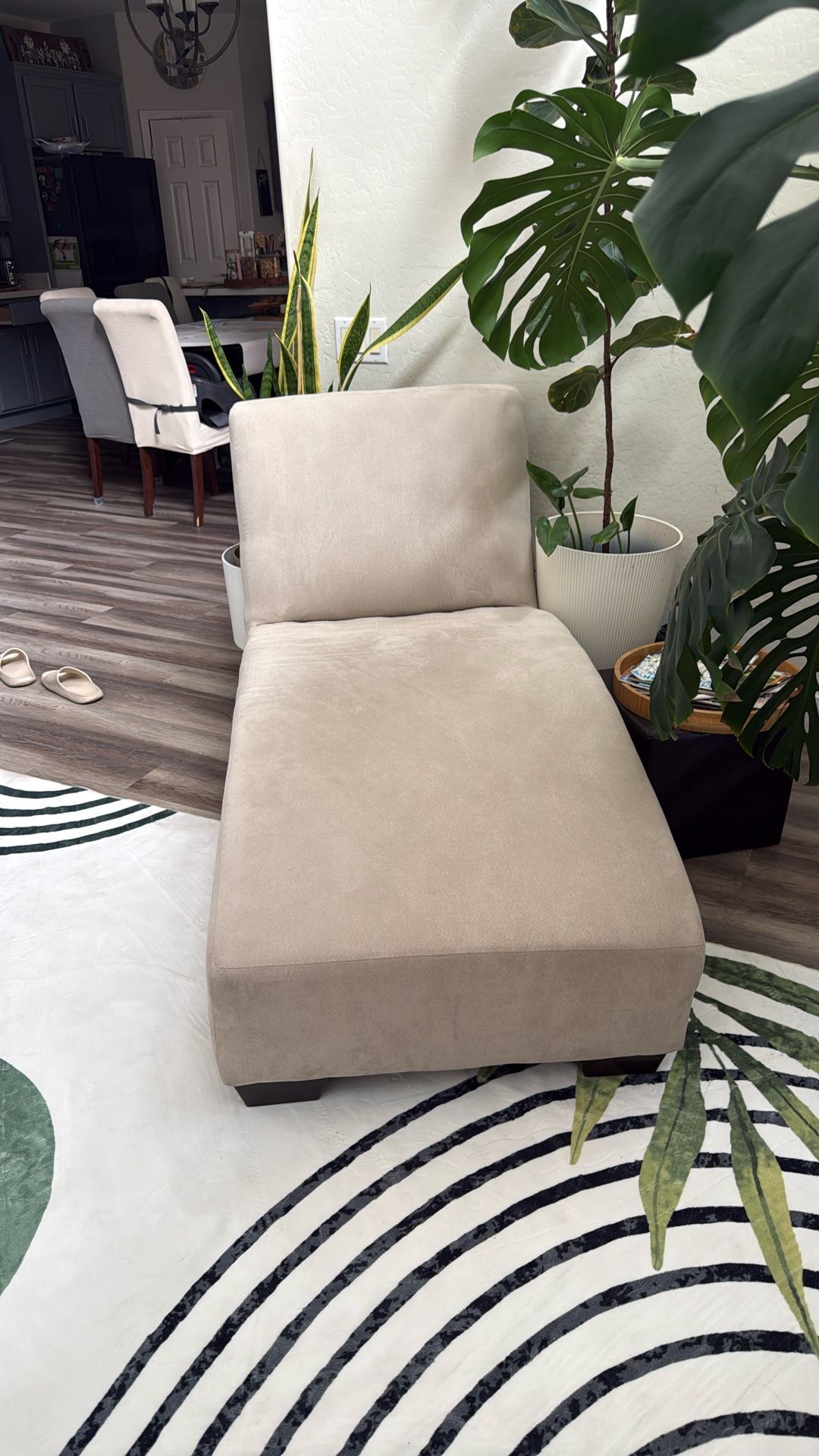 Cream Chase Semi New / Need Gone ASAP