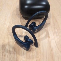 Powerbeats Pro (Dark Navy Blue) $100 Or Best Offer 
