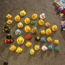 Ducks Toys