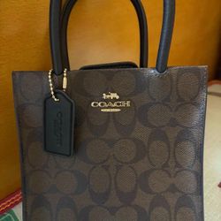 Coach Cally Crossbody Tote 99% New w/ Strap 