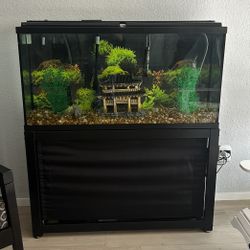 55gal Fishtank