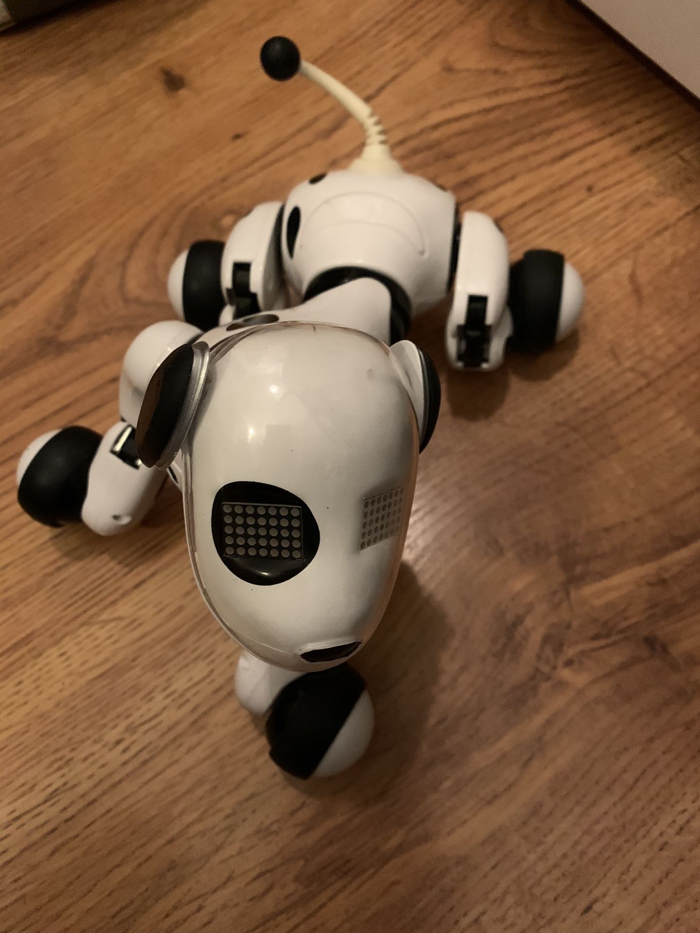 Robot Dalmatian