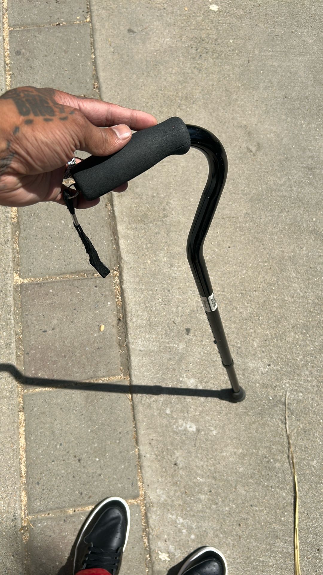 Cane