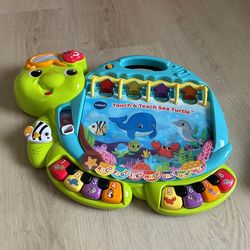 Touch And Teach Sea Turtle 