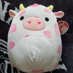 Squishmallows 