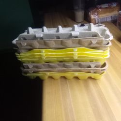 56 Egg Cartons For Your Chicken Eggs