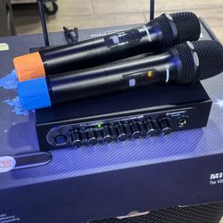 Wireless Mic System Karaoke