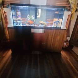 75 Gal Aquarium