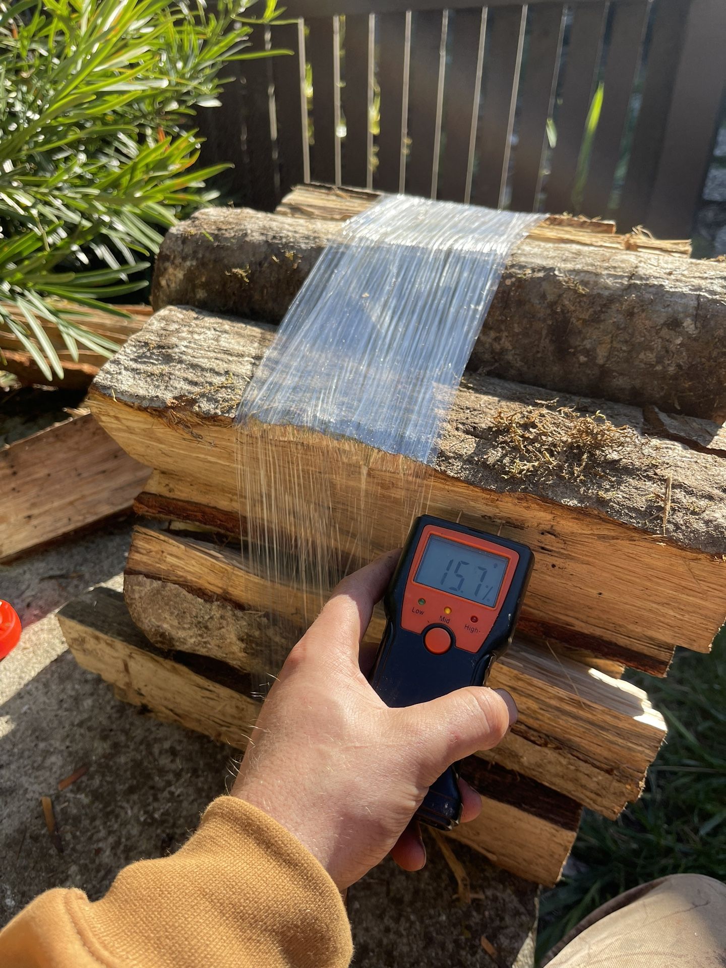 bone dry oak bundles for sale