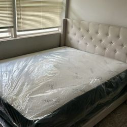 Queen Mattress And Box Spring 
