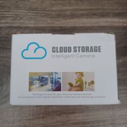 1080p Cloud Storage Intelligent Camera