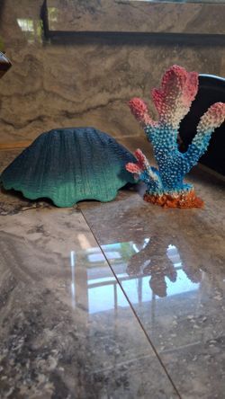 Faux coral and seashell decor