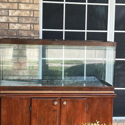Fish Tank And Stand 55+