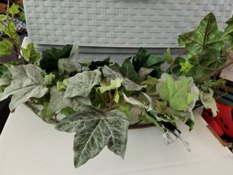 Spring/ Easter decorations