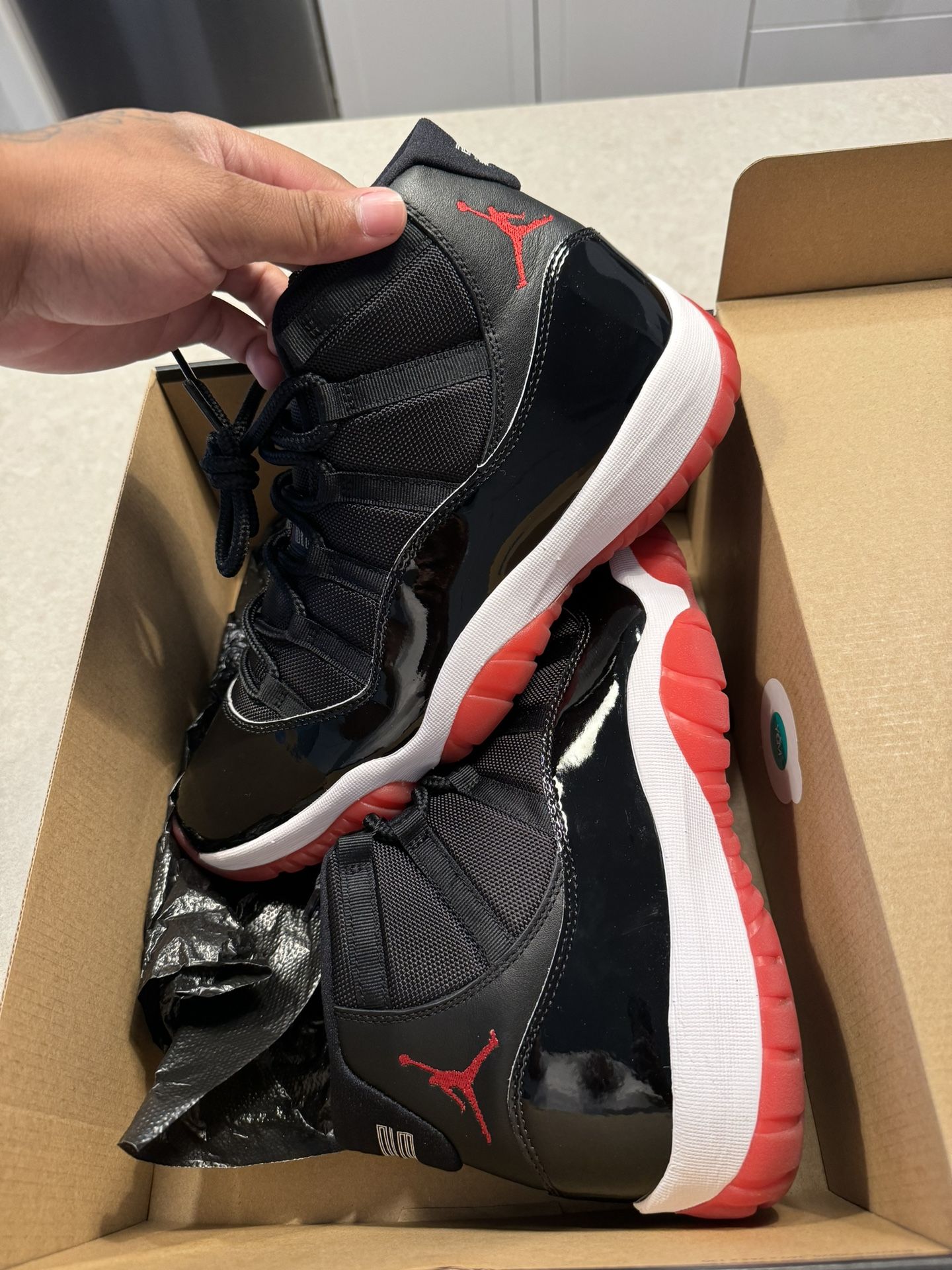 Jordan Bred 11 Size 12