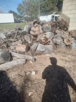 Free!!!! Fire Wood.... Mostly Eucalyptus Trunks