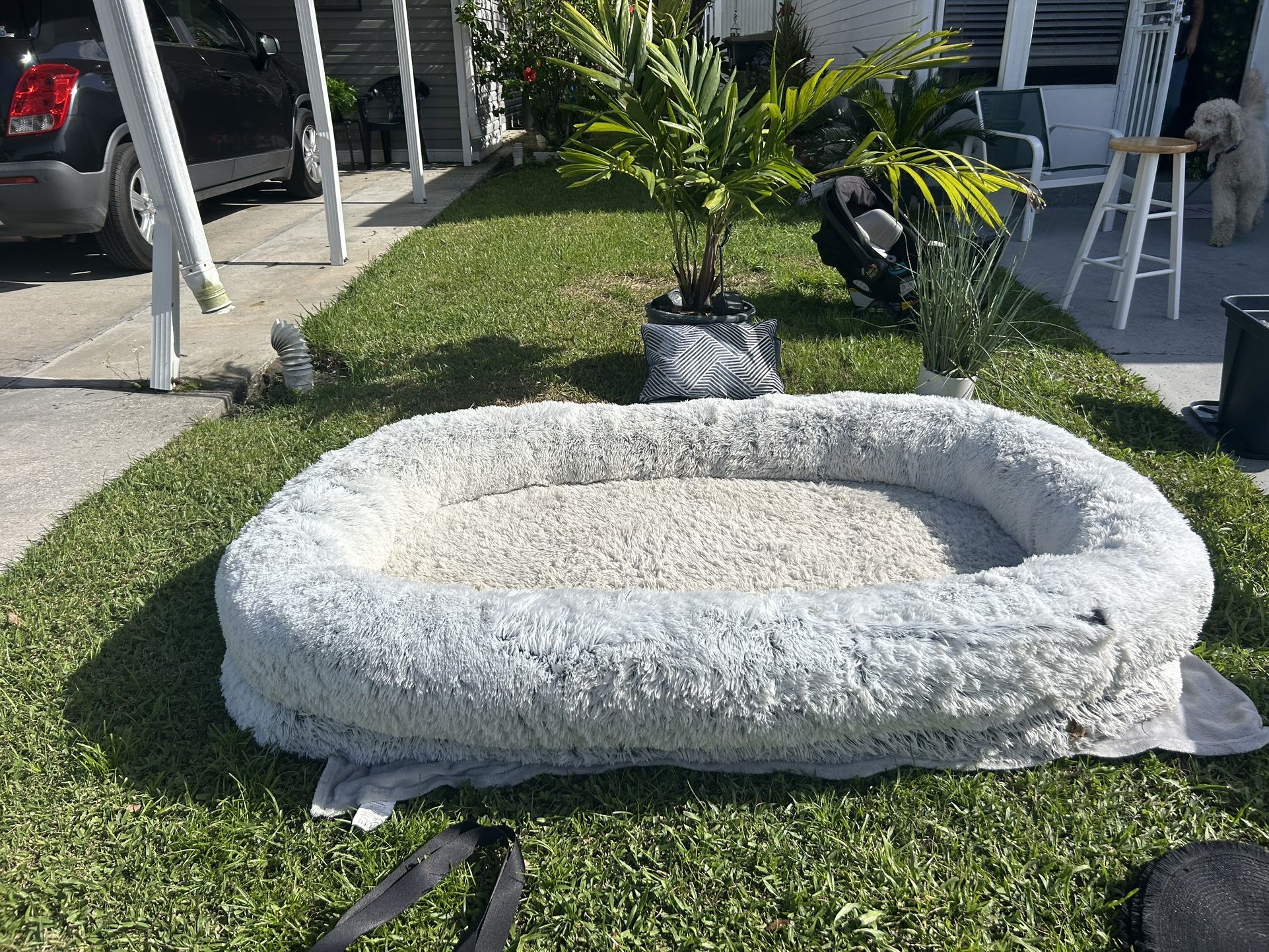 Large Dog Bed 