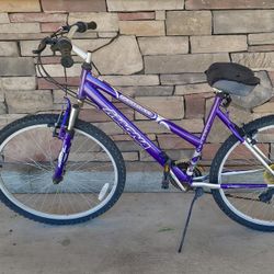 26” Mountain Bicycle (works great!)