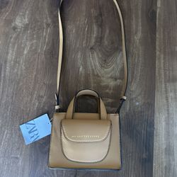 Zara Purse 