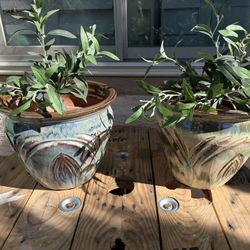 Beautiful Outdoor Pots