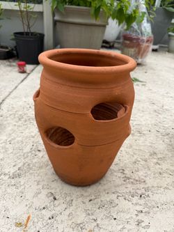 Terecotta planter (1 left )