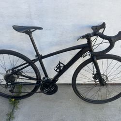 Raleigh Hybrid Small Bicycle 