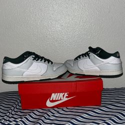 Nike Dunk 9:5