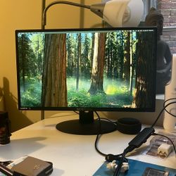 Sceptre 20” 75Hz Monitor 