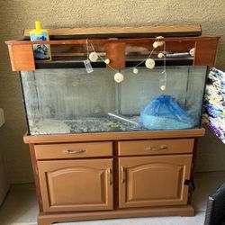 Used Fish Tank - 55 Gallons