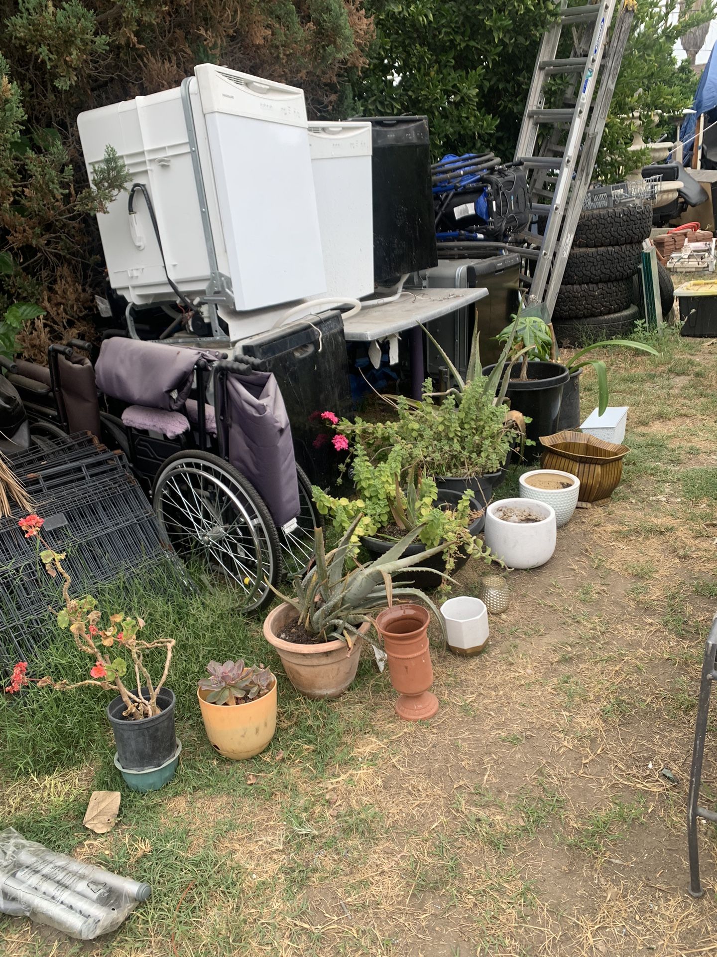 Planters All For $35