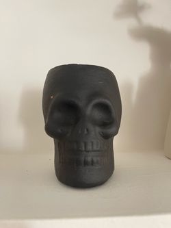 West elm skull