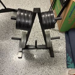 Home Gym Bench And Weights 