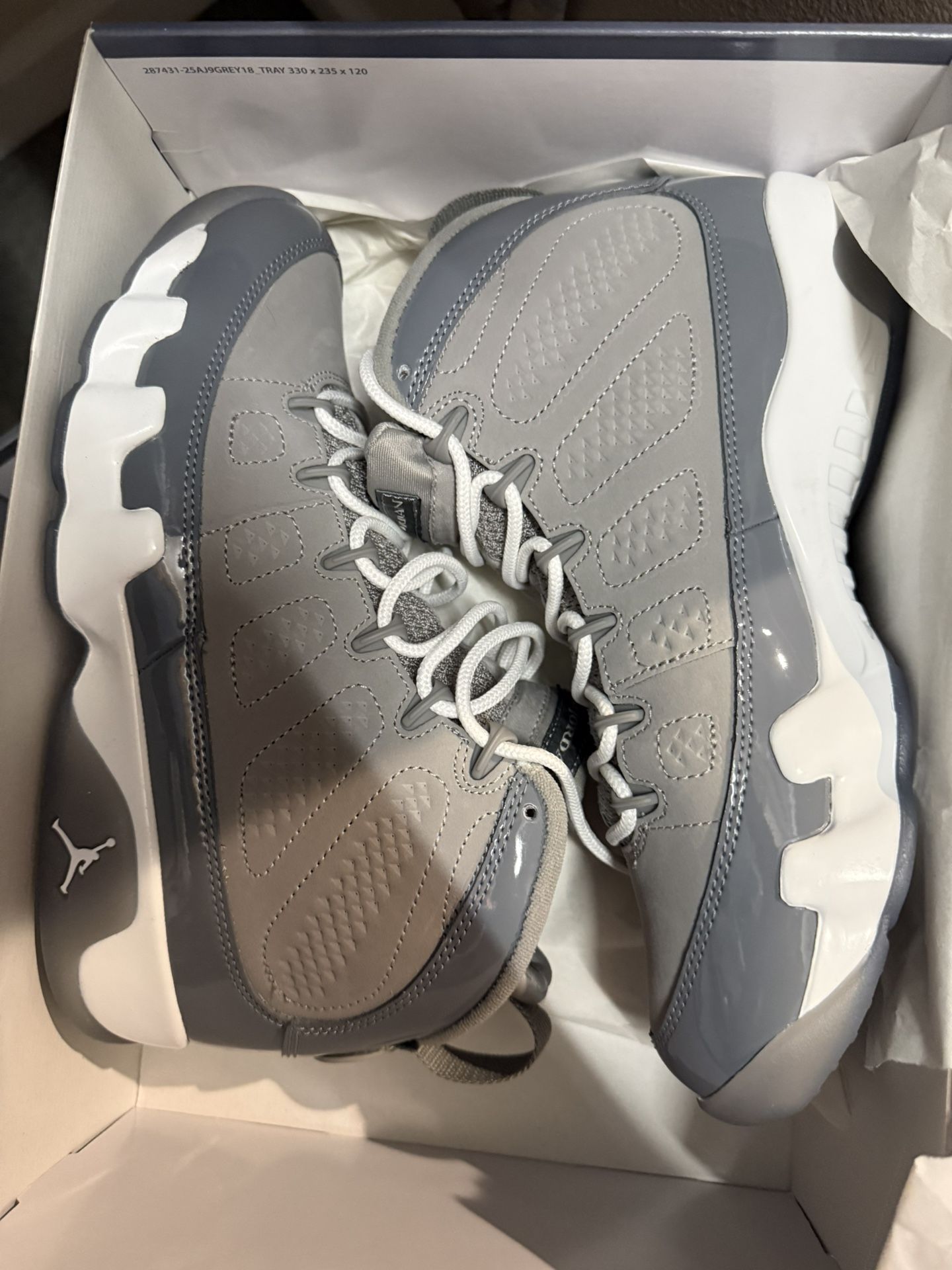 Cool Grey 9’s Jordans