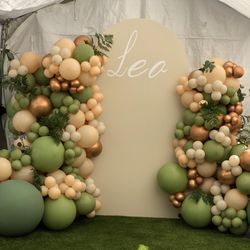 Balloons Decoration 