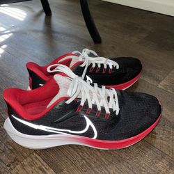 Nike Air Zoom Pegasus 