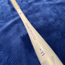 Softball Bat 