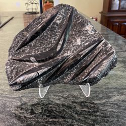 Fish fossils