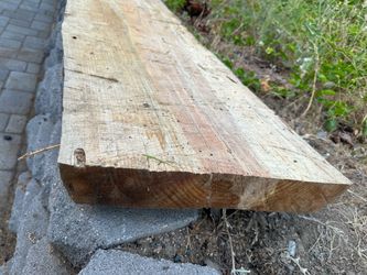 13 Foot Live Edge Wood Slab Pine