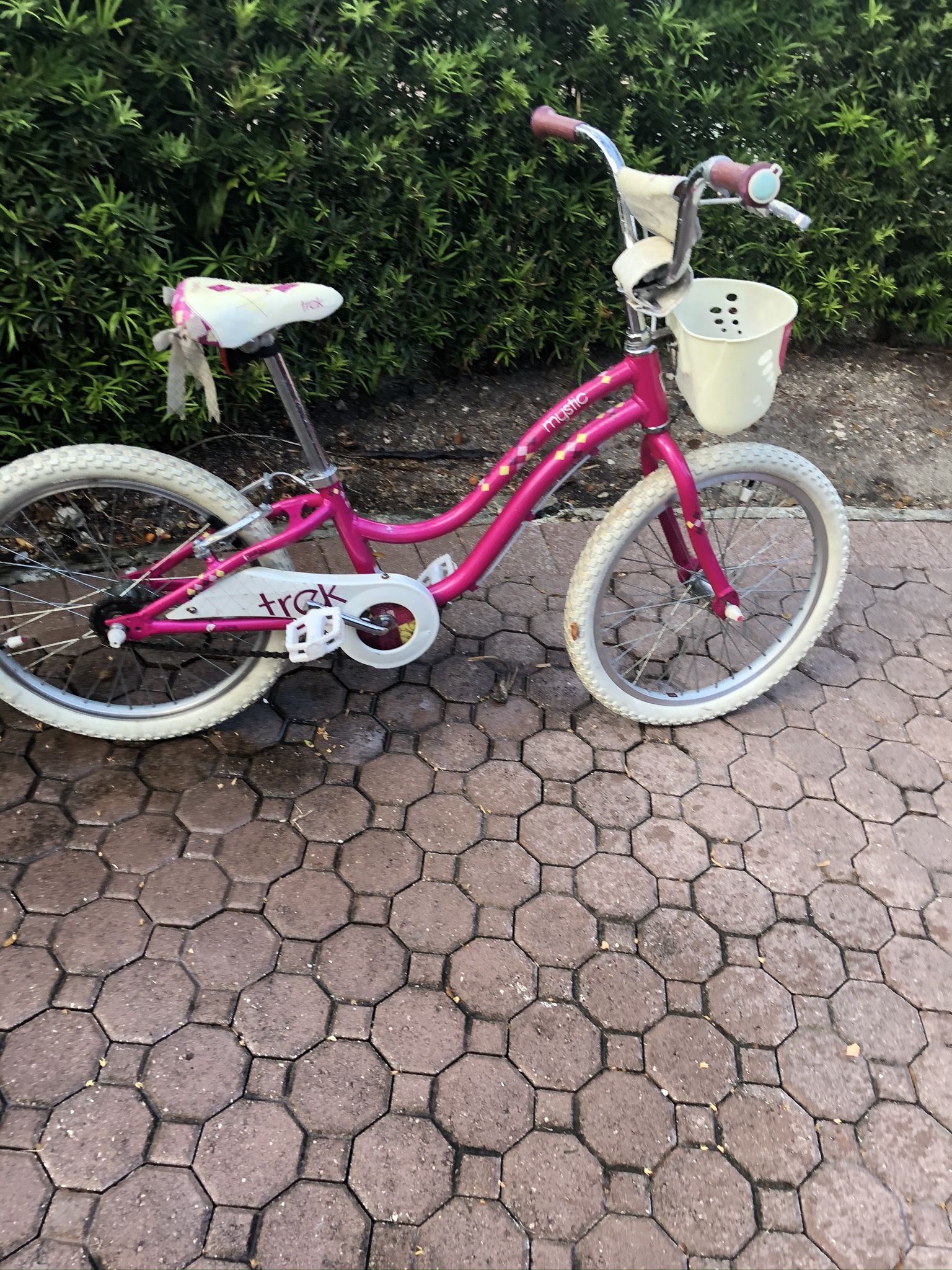 Girls Trek Mystic 20” Wheel bicycle