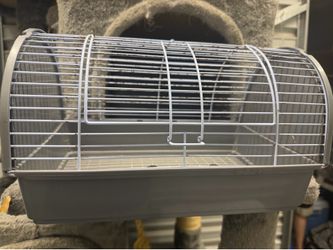 Rodent / Small animal products