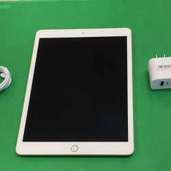 iPad 7th Gen Rose 32GB WiFi Cellular Unlocked 