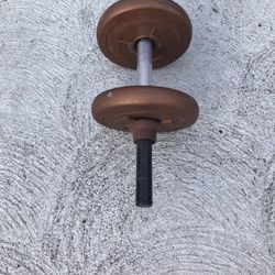 A single  Dumbell  Plus Weights. Good Condition.