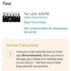 Cage The Elephant Ticket (1)