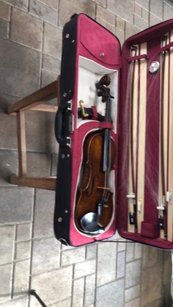 Violin