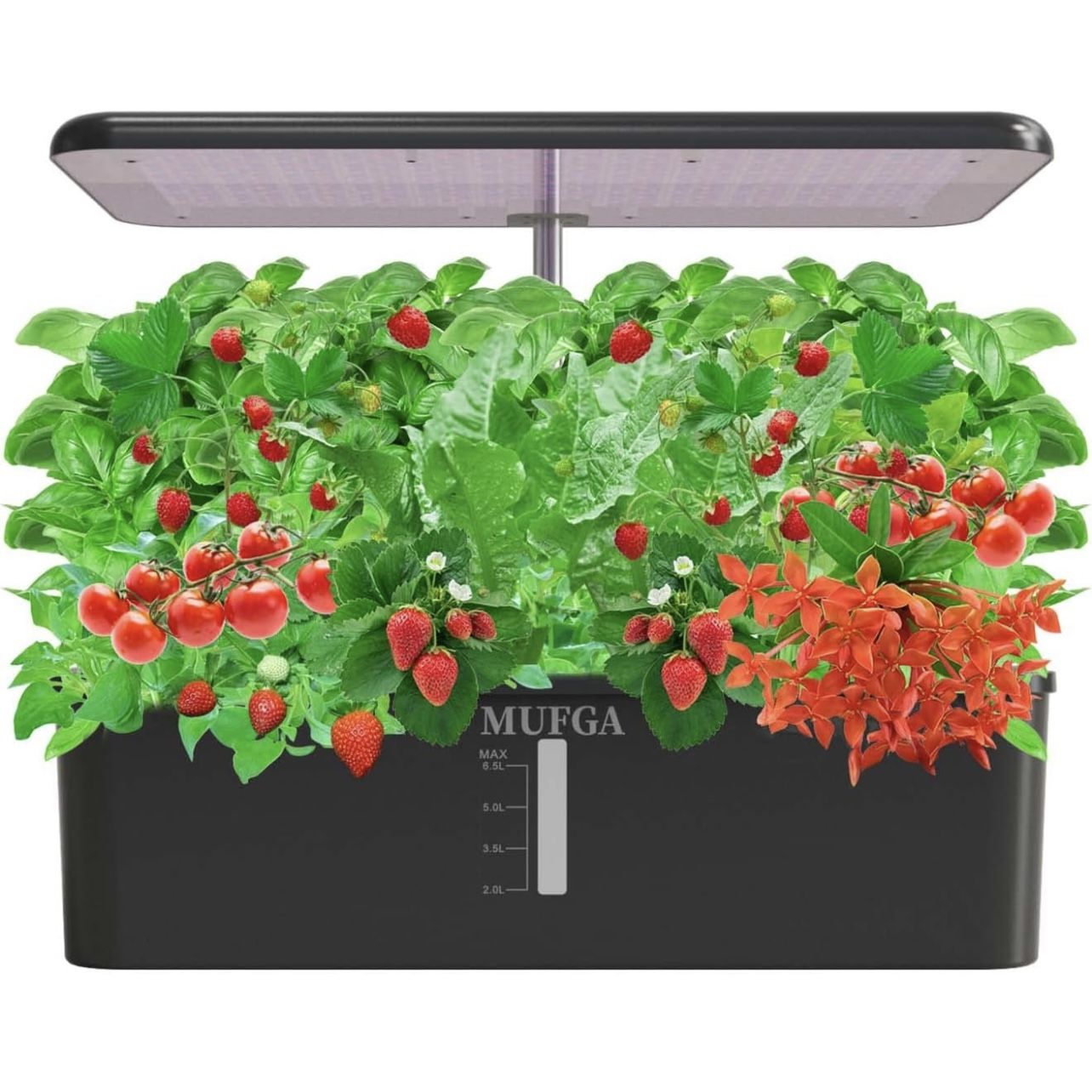 Hydroponics Growing System Herb Garden